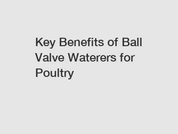 Key Benefits of Ball Valve Waterers for Poultry
