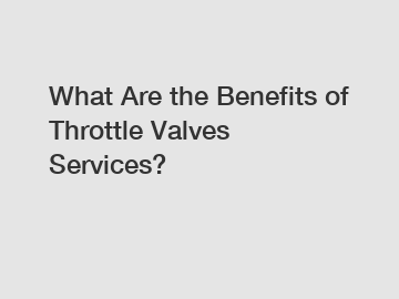 What Are the Benefits of Throttle Valves Services?