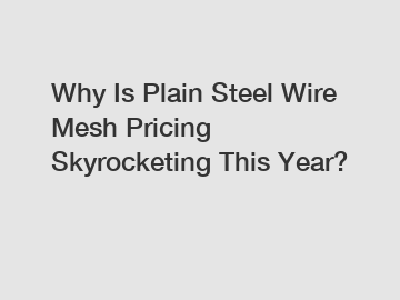 Why Is Plain Steel Wire Mesh Pricing Skyrocketing This Year?
