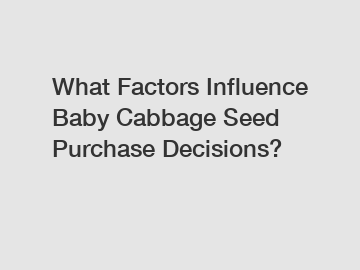 What Factors Influence Baby Cabbage Seed Purchase Decisions?