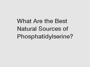 What Are the Best Natural Sources of Phosphatidylserine?