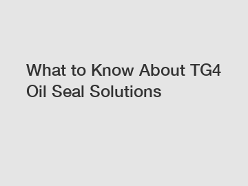 What to Know About TG4 Oil Seal Solutions