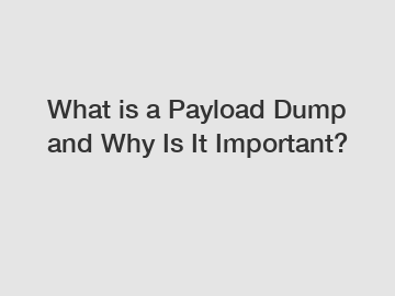 What is a Payload Dump and Why Is It Important?