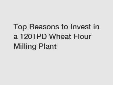 Top Reasons to Invest in a 120TPD Wheat Flour Milling Plant
