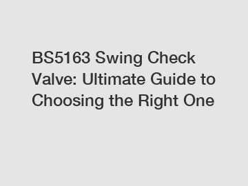 BS5163 Swing Check Valve: Ultimate Guide to Choosing the Right One
