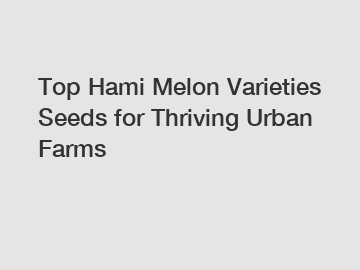 Top Hami Melon Varieties Seeds for Thriving Urban Farms