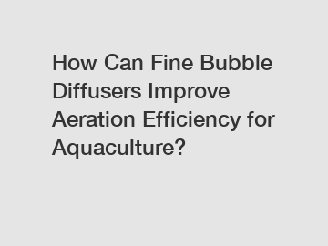 How Can Fine Bubble Diffusers Improve Aeration Efficiency for Aquaculture?