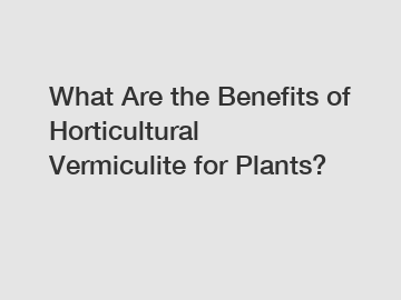 What Are the Benefits of Horticultural Vermiculite for Plants?