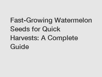 Fast-Growing Watermelon Seeds for Quick Harvests: A Complete Guide