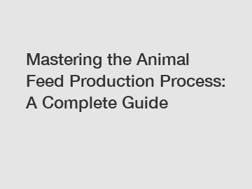 Mastering the Animal Feed Production Process: A Complete Guide