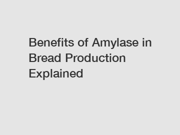 Benefits of Amylase in Bread Production Explained