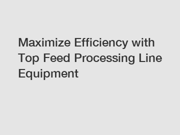 Maximize Efficiency with Top Feed Processing Line Equipment