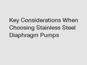 Key Considerations When Choosing Stainless Steel Diaphragm Pumps