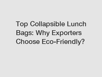 Top Collapsible Lunch Bags: Why Exporters Choose Eco-Friendly?