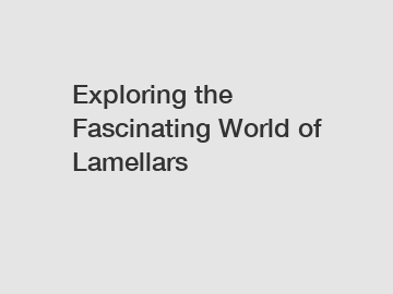 Exploring the Fascinating World of Lamellars