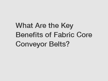 What Are the Key Benefits of Fabric Core Conveyor Belts?