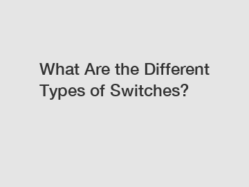 What Are the Different Types of Switches?