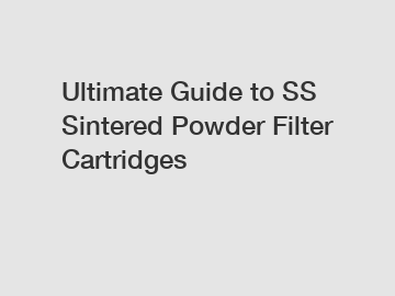 Ultimate Guide to SS Sintered Powder Filter Cartridges