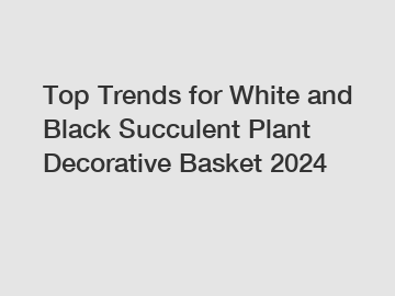 Top Trends for White and Black Succulent Plant Decorative Basket 2024