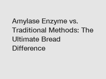 Amylase Enzyme vs. Traditional Methods: The Ultimate Bread Difference