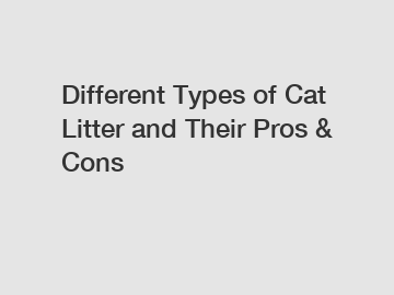 Different Types of Cat Litter and Their Pros & Cons