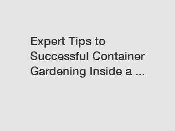 Expert Tips to Successful Container Gardening Inside a ...