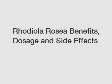 Rhodiola Rosea Benefits, Dosage and Side Effects