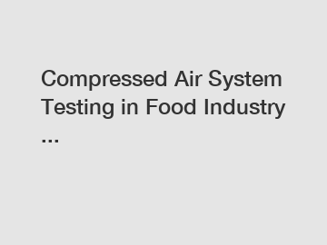 Compressed Air System Testing in Food Industry ...