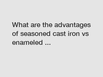 What are the advantages of seasoned cast iron vs enameled ...