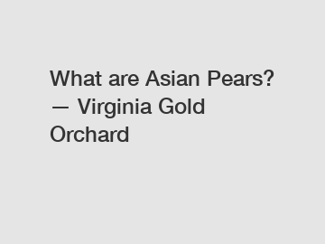 What are Asian Pears? — Virginia Gold Orchard