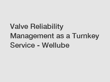 Valve Reliability Management as a Turnkey Service - Wellube