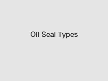 Oil Seal Types