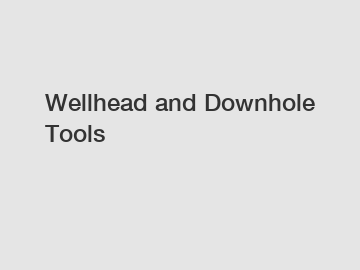 Wellhead and Downhole Tools