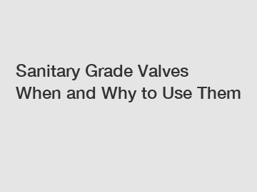 Sanitary Grade Valves When and Why to Use Them