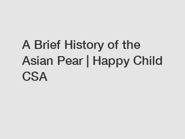 A Brief History of the Asian Pear | Happy Child CSA