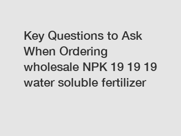 Key Questions to Ask When Ordering wholesale&nbsp;NPK 19 19 19 water soluble fertilizer