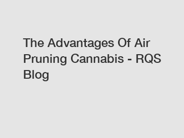 The Advantages Of Air Pruning Cannabis - RQS Blog