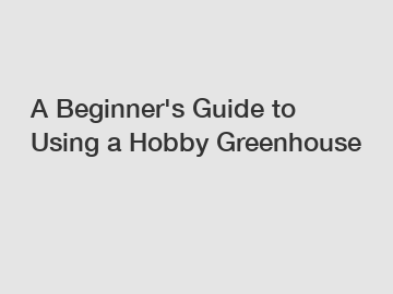 A Beginner's Guide to Using a Hobby Greenhouse