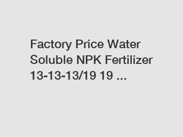 Factory Price Water Soluble NPK Fertilizer 13-13-13/19 19 ...