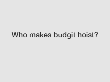 Who makes budgit hoist?