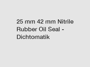 25 mm 42 mm Nitrile Rubber Oil Seal - Dichtomatik