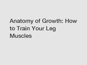 Anatomy of Growth: How to Train Your Leg Muscles