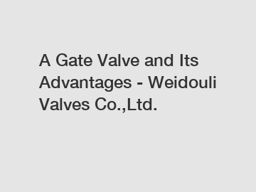A Gate Valve and Its Advantages - Weidouli Valves Co.,Ltd.