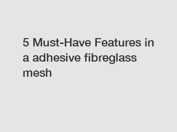 5 Must-Have Features in a adhesive fibreglass mesh