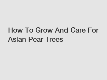 How To Grow And Care For Asian Pear Trees