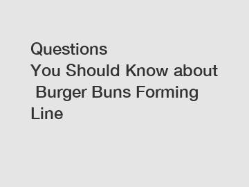 Questions You Should Know about Burger Buns Forming Line