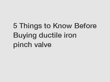 5 Things to Know Before Buying ductile iron pinch valve