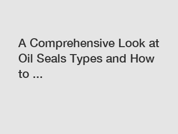 A Comprehensive Look at Oil Seals Types and How to ...