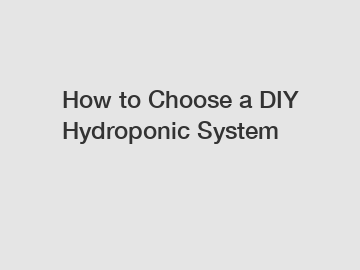 How to Choose a DIY Hydroponic System