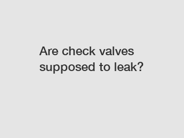 Are check valves supposed to leak?